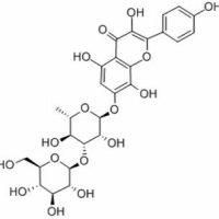 86831-54-1/红景天素 ,分析标准品,HPLC≥98%