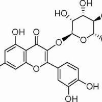 522-12-3/槲皮苷 /分析标准品,HPLC≥98%