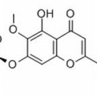 569-90-4/假荆芥属苷 ，分析标准品,HPLC≥98%