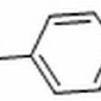 104-46-1/	 茴香脑 ,分析标准品,HPLC≥98%