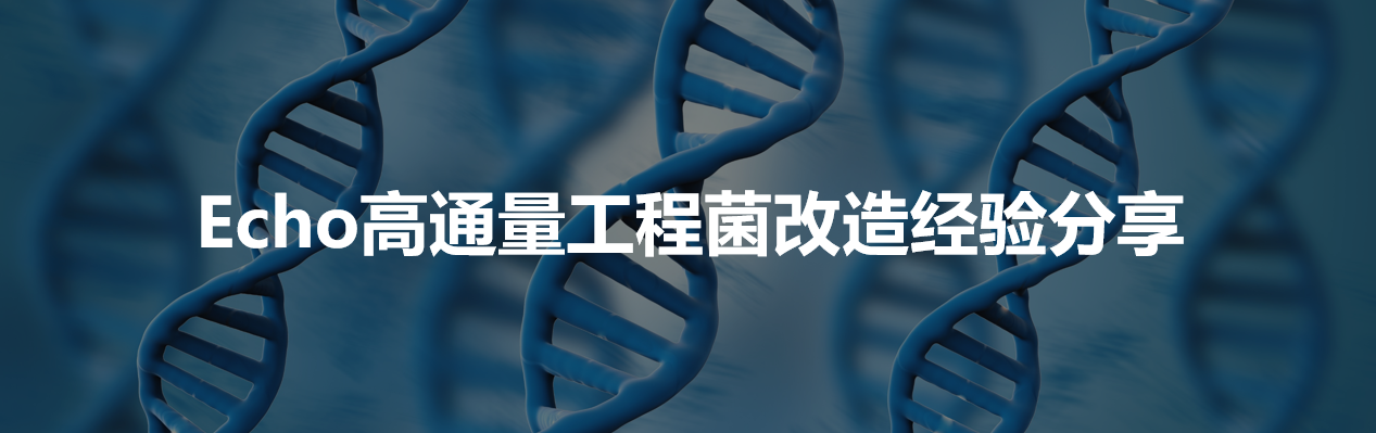 Echo高通量工程菌改造经验分享
