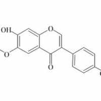 40957-83-3/ 黄豆黄素 ,分析标准品,HPLC≥98%