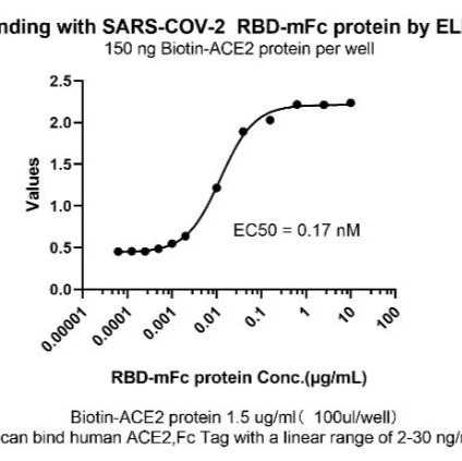 SARS CoV 2 Spike Protein (RBD, m ouse Fc Tag)