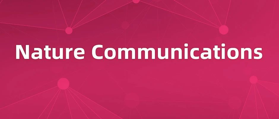 华中科技大学黄波团队揭示调控巨噬细胞炎性表型的关键途径