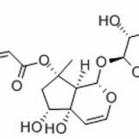 19210-12-9/	 哈巴俄苷 ,分析标准品,HPLC≥98%