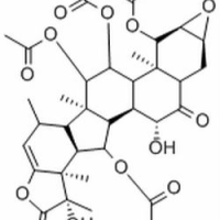108885-68-3/根薯酮内酯A ,分析标准品,HPLC≥98%