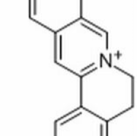 38691-95-1/ 格兰地新 ,分析标准品,HPLC≥98%