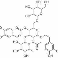 112516-05-9/	 管花苷A ,	分析标准品,HPLC≥98%