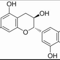 3371-27-5/	 没食子儿茶素 ,分析标准品,HPLC≥98%
