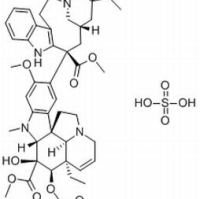 143-67-9/ 硫酸长春碱 ,分析标准品,HPLC≥98%