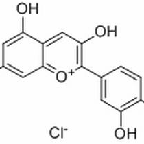 528-58-5/氯化矢车菊素 ,分析标准品,HPLC≥98%
