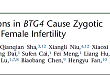 中信湘雅-复旦大学强强联合 国际首次报道受精卵分裂失败的致病机制