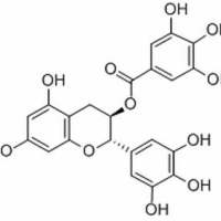 4233-96-9/	 没食子儿茶素没食子酸酯 ,分析标准品,HPLC≥98%