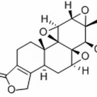 38748-32-2/雷公藤甲素 ,分析标准品,HPLC≥98%