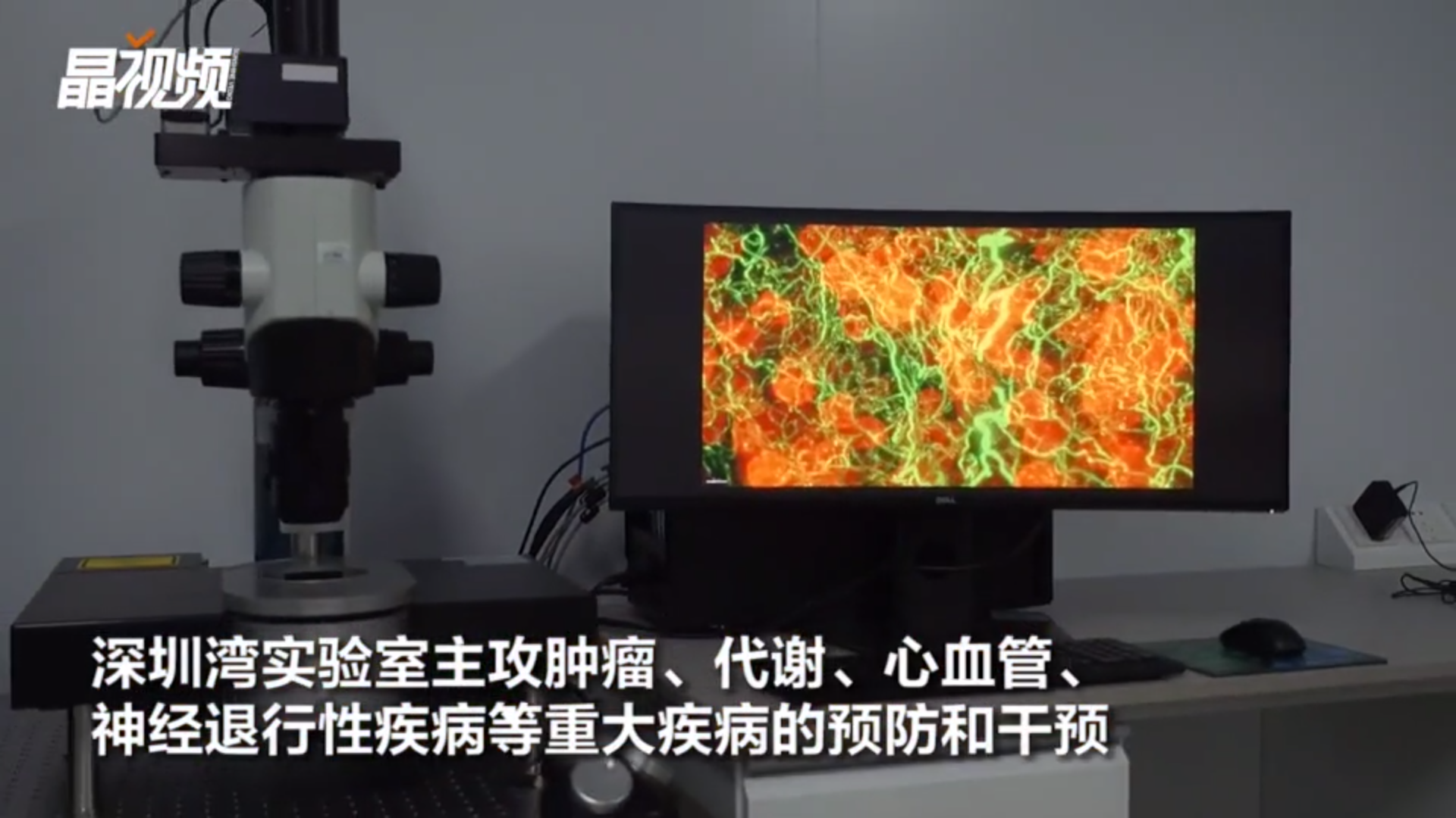 美天旎先进光学成像系统助力粤港澳大湾区生物医药创新启航