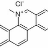 13063-04-2/	 氯化两面针碱,	分析标准品,HPLC≥98%