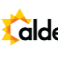 In vitro Transcription