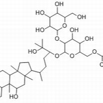 88901-42-2/	 罗汉果皂苷ⅢA1 ,分析标准品,HPLC≥98%