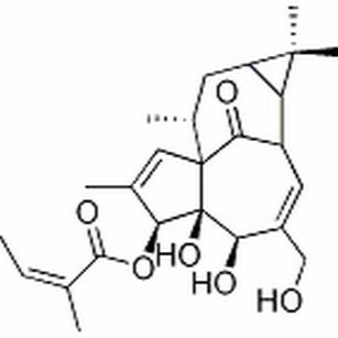 75567-37-2/ 巨大戟醇-3-O-当归酸酯 ,分析标准品,HPLC≥95%