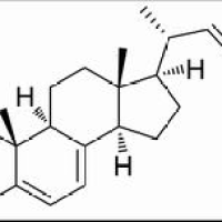 57-87-4/麦角甾醇 ,分析标准品,HPLC≥98%