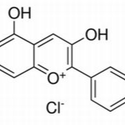 134-04-3/ 天竺葵素（氯化花葵素） ,分析标准品,HPLC≥96%