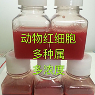产品封面图