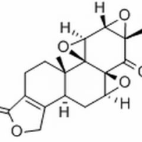 38647-11-9/雷公藤内酯酮 ,分析标准品,HPLC≥98%
