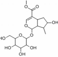 18524-94-2/	 马钱苷 ,分析标准品,HPLC≥98%