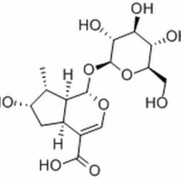 22255-40-9/	 马钱苷酸 ,分析标准品,HPLC≥98%