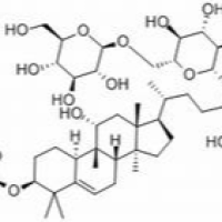 88901-36-4./罗汉果皂苷V ,分析标准品,HPLC≥98%