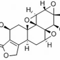 38647-10-8/	 雷公藤乙素 /分析标准品,HPLC≥98%