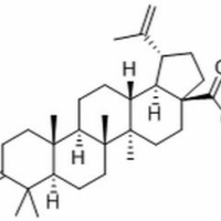 4481-62-3/	 路路通酸 ,分析标准品,HPLC≥98%