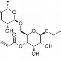 79916-77-1/连翘酯苷A ,分析标准品,HPLC≥98%