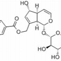11027-63-7/穗花牡荆苷 ,	分析标准品,HPLC≥98%