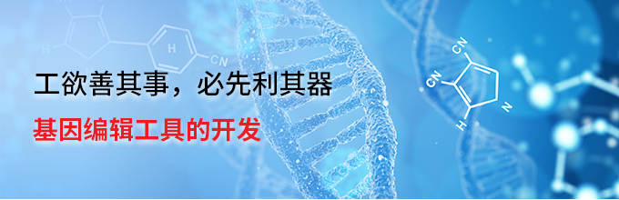 工欲善其事，必先利其器——基因编辑工具的开发