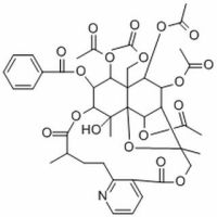 11088-09-8/	 雷公藤次碱 ,分析标准品,HPLC≥98%