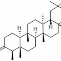 559-74-0/ 木栓酮 ,分析标准品,GC≥98%