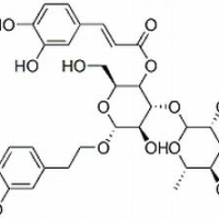 61276-17-3/	 类叶升麻苷 ,分析标准品,HPLC≥98%