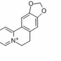 633-66-9/	 硫酸小檗碱 /分析标准品,HPLC≥98%