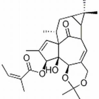 87980-68-5/	 巨大戟醇-5,20-缩-3-当归酸酯 ,分析标准品,HPLC≥98%