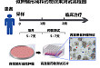 《科学-转化医学》| 基石生命与北大席建忠课题组研发微肿瘤药敏检测技术并成功应用于临床