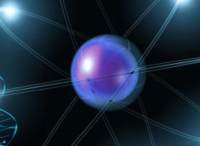 HegG2抑制剂(Megestrol Acetate)