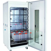 NeXCell大容量CO2培养箱