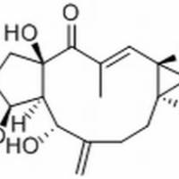 34420-19-4/	 千金子二萜醇 ,	分析标准品,HPLC≥98%