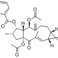 218916-52-0/	 千金子二萜醇二乙酰苯甲酰酯 ,分析标准品,HPLC≥98%