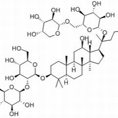 11021-13-9/	 人参皂苷Rb2 ,分析标准品,HPLC≥98%