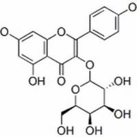 23627-87-4/三叶豆苷,分析标准品,HPLC≥98%