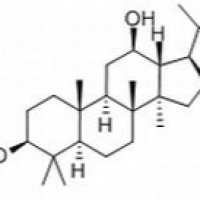 105558-26-7/	 人参皂苷Rh3,	分析标准品,HPLC≥98%