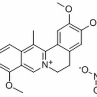 13005-09-9/ 去氢延胡索甲素硝酸盐 ,分析标准品,HPLC≥96%