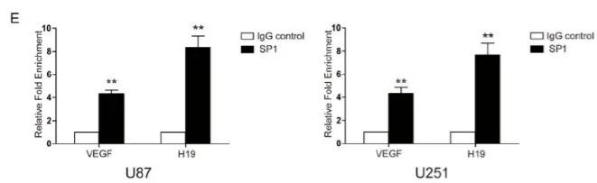 知无不“研”，一文读懂ChIP
